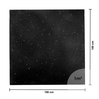 Heavy-Duty Floor Mat inSPORTline Proteko Plus Dot 100 x 100 x 2 cm