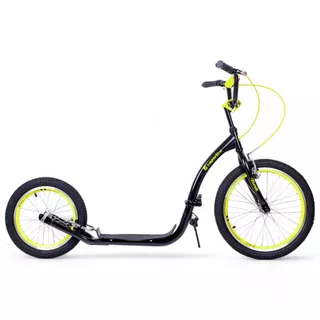 Folding Kick Scooter inSPORTline Runelk II 20/16”
