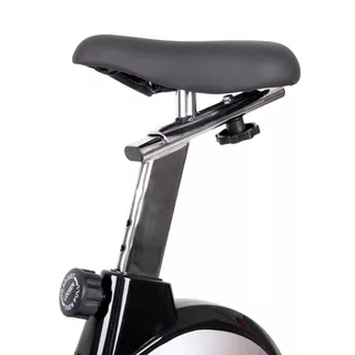 Exercise Bike inSPORTline Klegan