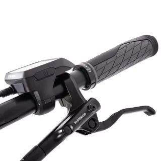 Trekking E-Bike Levit Columba Bosch Performance 625 28” - Matt Mint