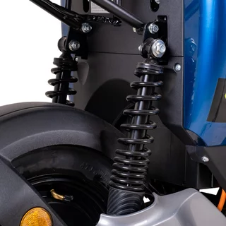 Electric Scooter W-TEC Raike 10” - Black-Silver