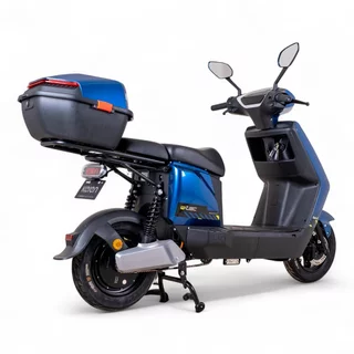 Electric Scooter W-TEC Raike 10” - Black-Silver