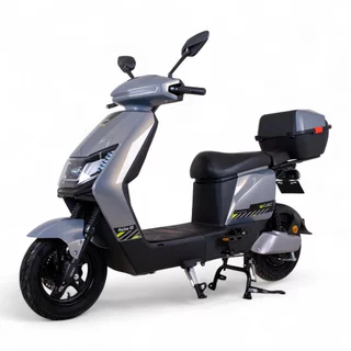 Electric Scooter W-TEC Raike 10” - Black-Silver - Grey-Black