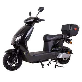 Electric Scooter W-TEC Raike II 10” - Black-Silver
