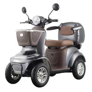 Electric Four-Wheel Scooter inSPORTline Lubica II - Grey