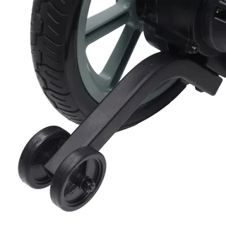 Lightweight Electric Wheelchair inSPORTline Zauney