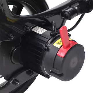 Carbon Electric Wheelchair inSPORTline Feally