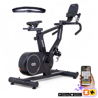 Exercise Bike inSPORTline ZenRoute 250