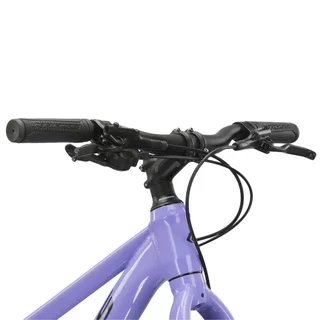 Junior Girls’ Bike Kross LEA JR 2.0 24” – 2025 - fialová / černá / lesk