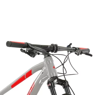 Mountain Bike Kross Level 4.0 29” Gen 007 - šedá / červená / lesk