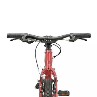 Junior Girls’ Bike Kross LEA JR 1.0 24” – 2024 - Bordo