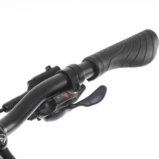 Urban E-Bike Levit Musca Urban HD 468 28”