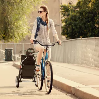Bicycle Trailer Duramaxx Carry Grey