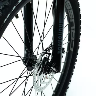 Mountain E-Bike Crussis e-Atland 9.9-M – 2024