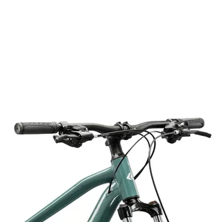 Mountain Bike Kross Hexagon 2.0 29” Gen 008 - zelená / stříbrná / lesk