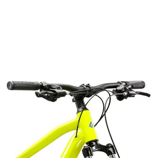 Mountain Bike Kross Hexagon 2.0 29” Gen 008 - zelená / stříbrná / lesk