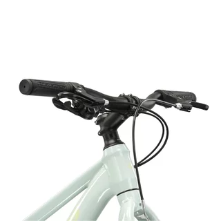 Junior Bike Kross LEA JR 1.0 24” Gen 006 - mátová / zelená / lesk