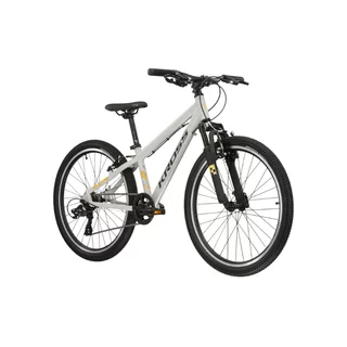 Junior Bike Kross Dust JR 1.0 24” Gen 006 - šedá/černá/lesk