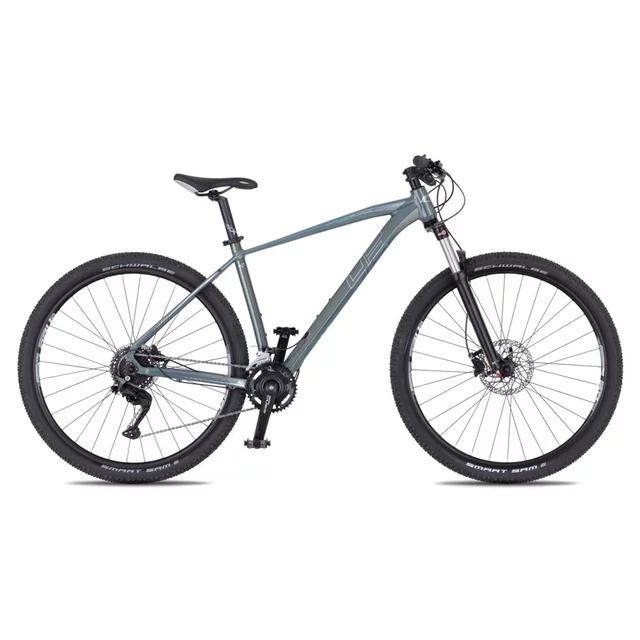 Mountain Bike 4EVER FRONTBEE 29” – 2025 - pearl black/green - foggy/silver