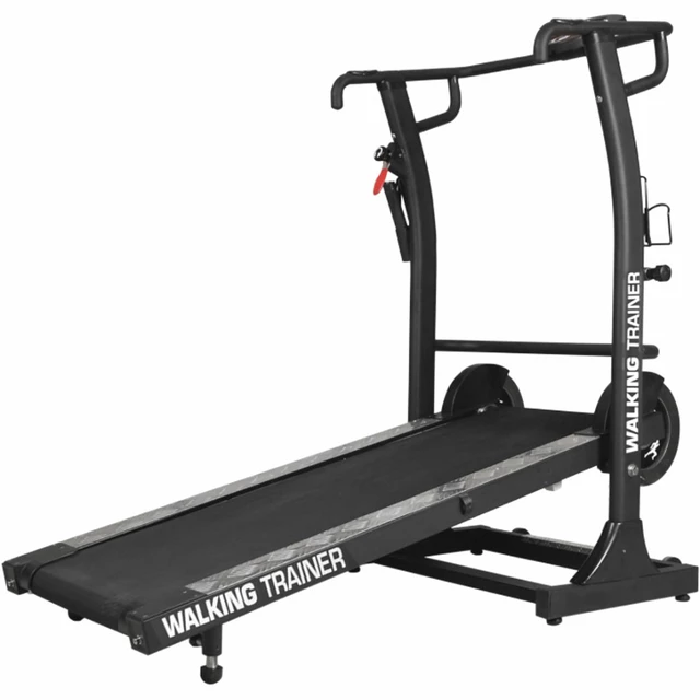 Walking Trainer