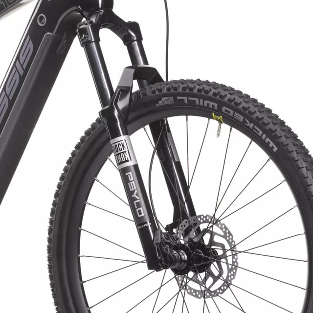 Mountain E-Bike Crussis e-Largo 10.10 720Wh 29” – 2025