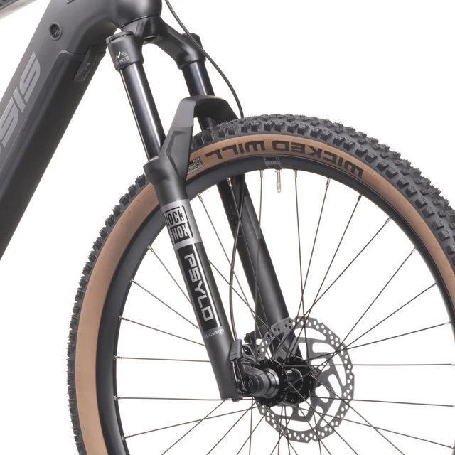Mountain E-Bike Crussis ONE-Largo 10.10 720Wh 29” – 2025