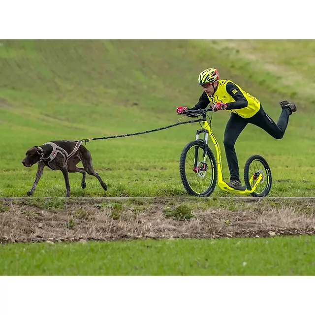 Spring Adaptor for Dog Line CRUSSIS