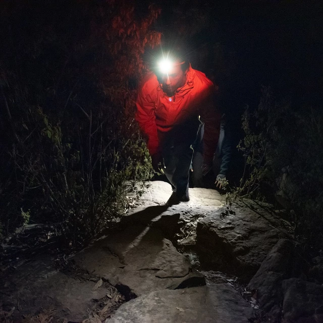 Headlamp Knog Bandicoot - Indigo