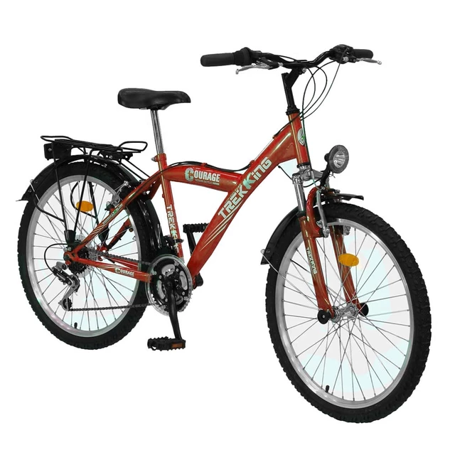 Bicycle DHS Trekking 2431 - model 2011 - Red