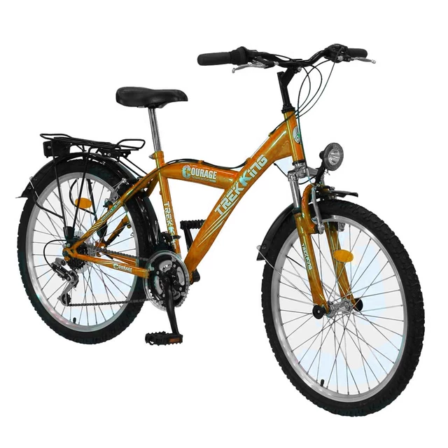 Bicycle DHS Trekking 2431 - model 2011 - Orange