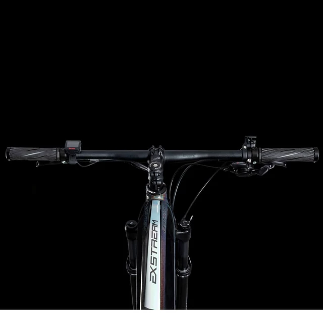 Mountain E-Bike 4EVER Exstream Team 29” - chameleon/hologram