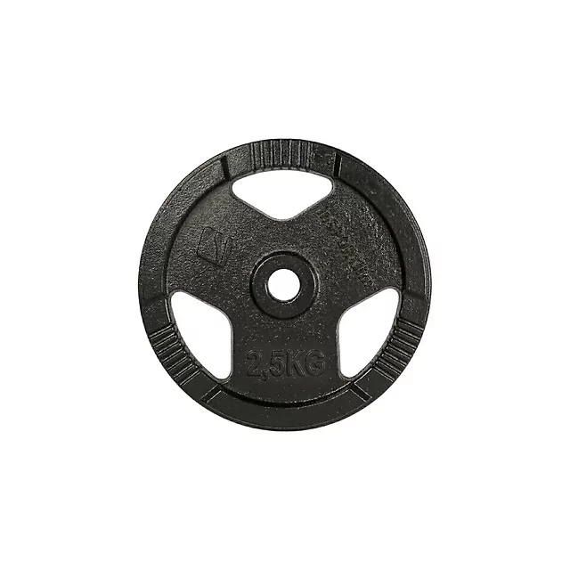 Cast Iron Weight Plate inSPORTline Hamerton Black 2.5 kg, 30 mm