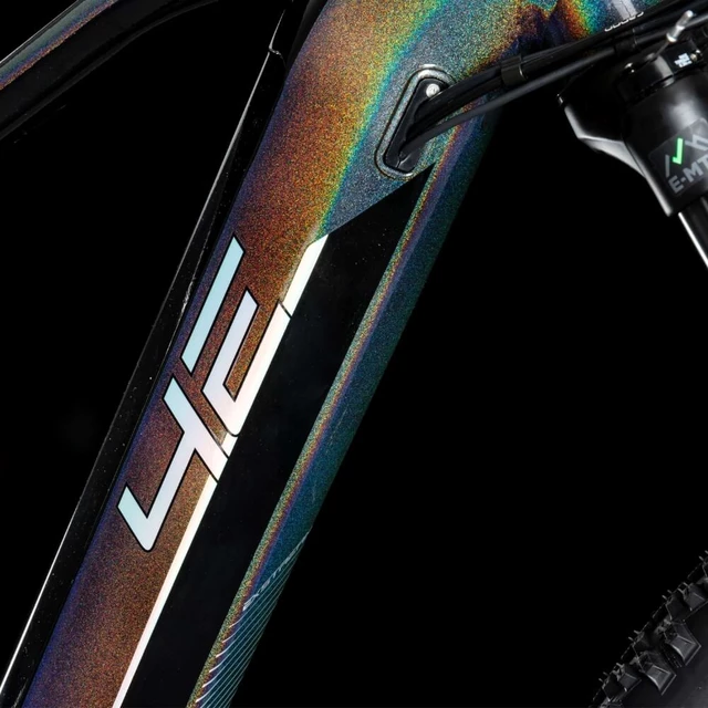 Mountain E-Bike 4EVER Exstream Team 29” - chameleon/hologram