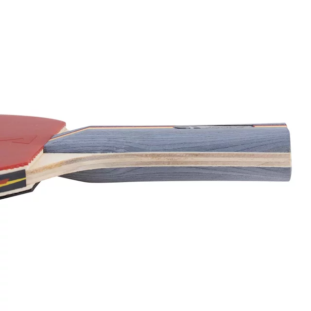 Table Tennis Paddle Joola Team School
