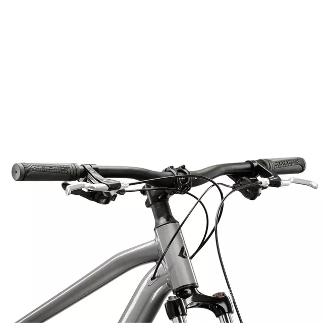 Mountain Bike Kross Hexagon 3.0 29” Gen 008 - šedá / námořnická modrá / lesk