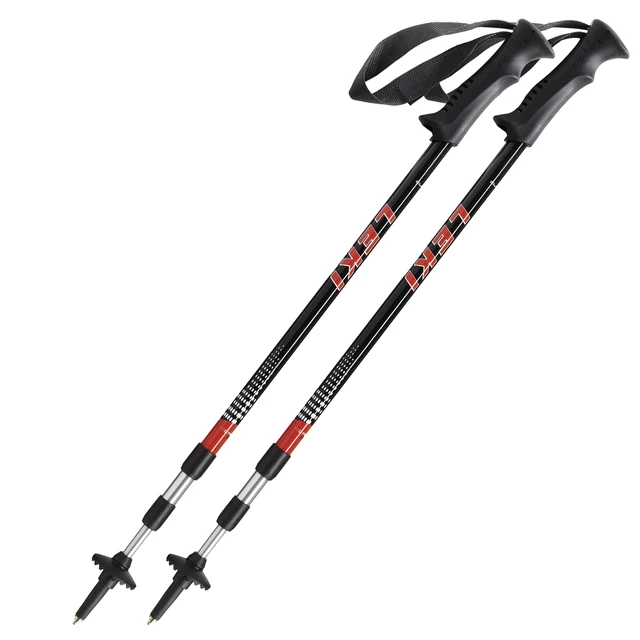 Leki Eagle Nordic Walking poles