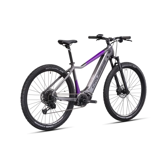 Mountain E-Bike Crussis e-Fionna 9.10 900Wh 29” – 2025