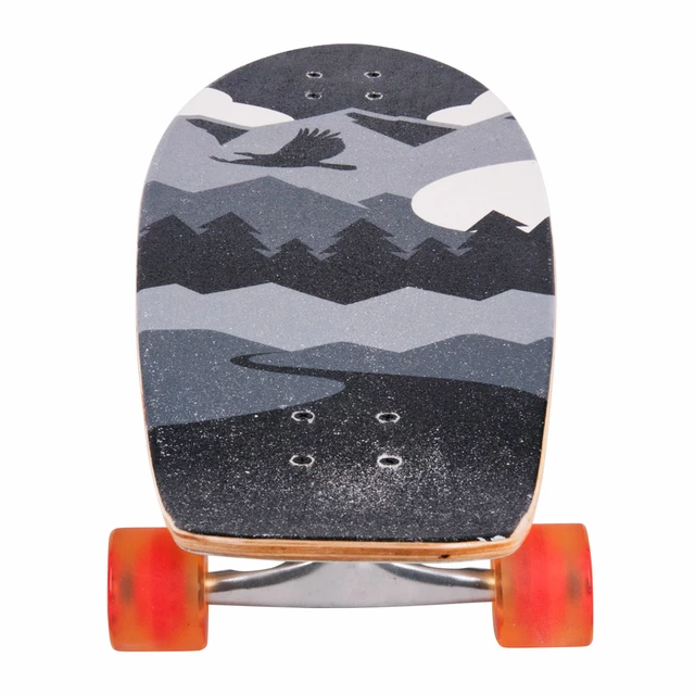 Longboard Tony Hawk Scenery