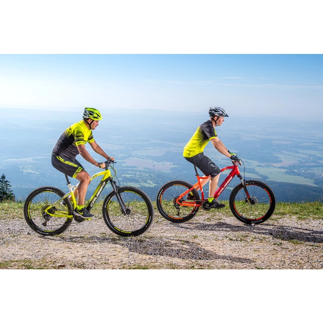 Mountain E-Bike Crussis e-Atland 7.6-L – 2021