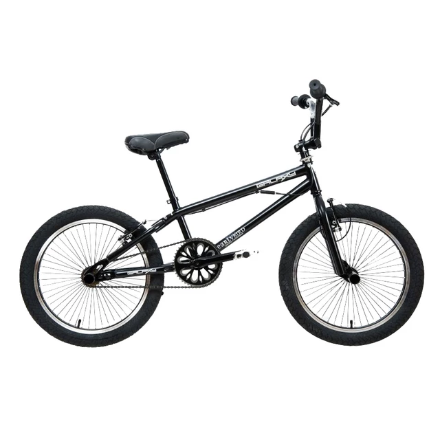 BMX bike GALAXY Early Bird