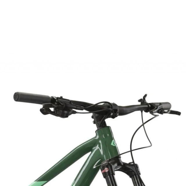 Mountain Bike Kross Level 5.0 29” – 2024 - Green Glossy