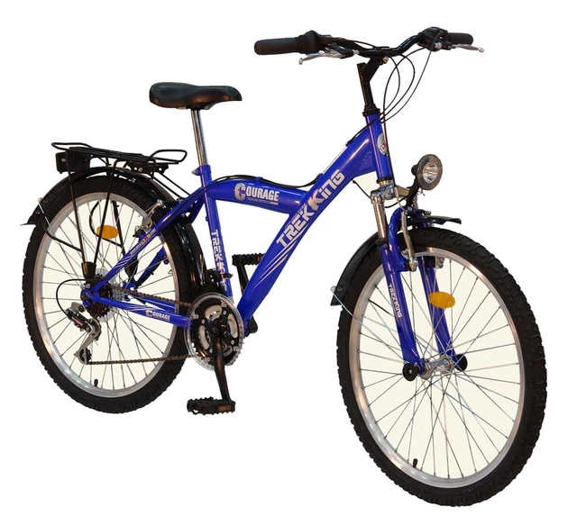 Bicycle DHS Trekking 2431 - model 2011 - Blue