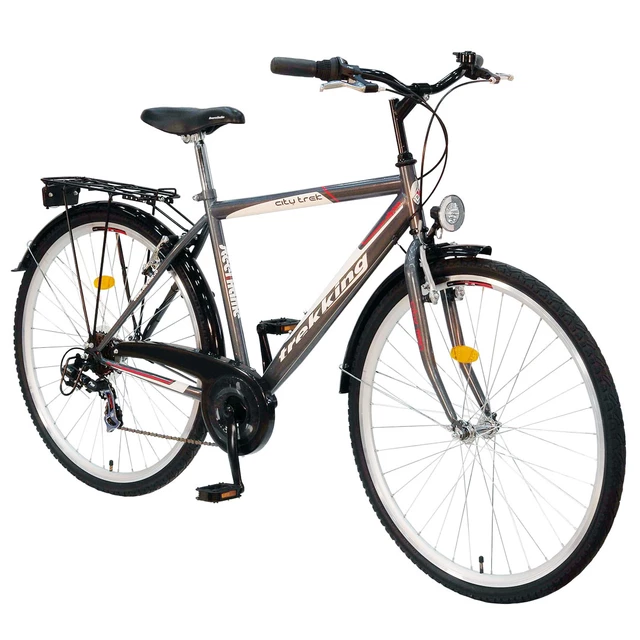 Bike DHS Trekking 2831 - model 2011 - Silver