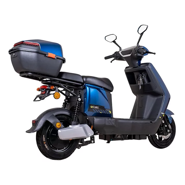 Electric Scooter W-TEC Raike II 10” - Black-Silver