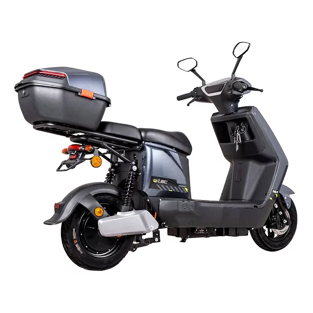 Electric Scooter W-TEC Raike II 10” - Black-Silver