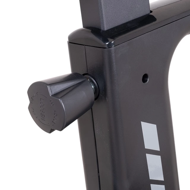 Exercise Bike inSPORTline ZenRoute 250