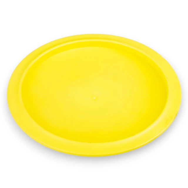 Disc Golf Flying Disc inSPORTline Driver