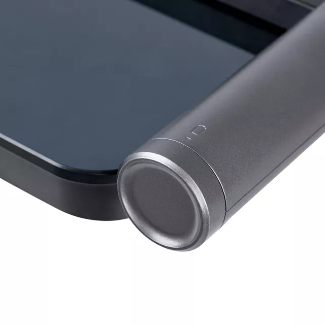 Smart Scale inSPORTline Syncale 200