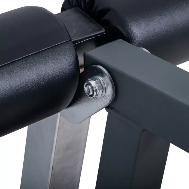 Leg Extension/Leg Curl Attachment for inSPORTline Profi Sit Up Bench