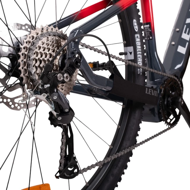 Mountain E-Bike Levit Muan BF3 Overstep 630 29” - Burgundy Grey Pearl